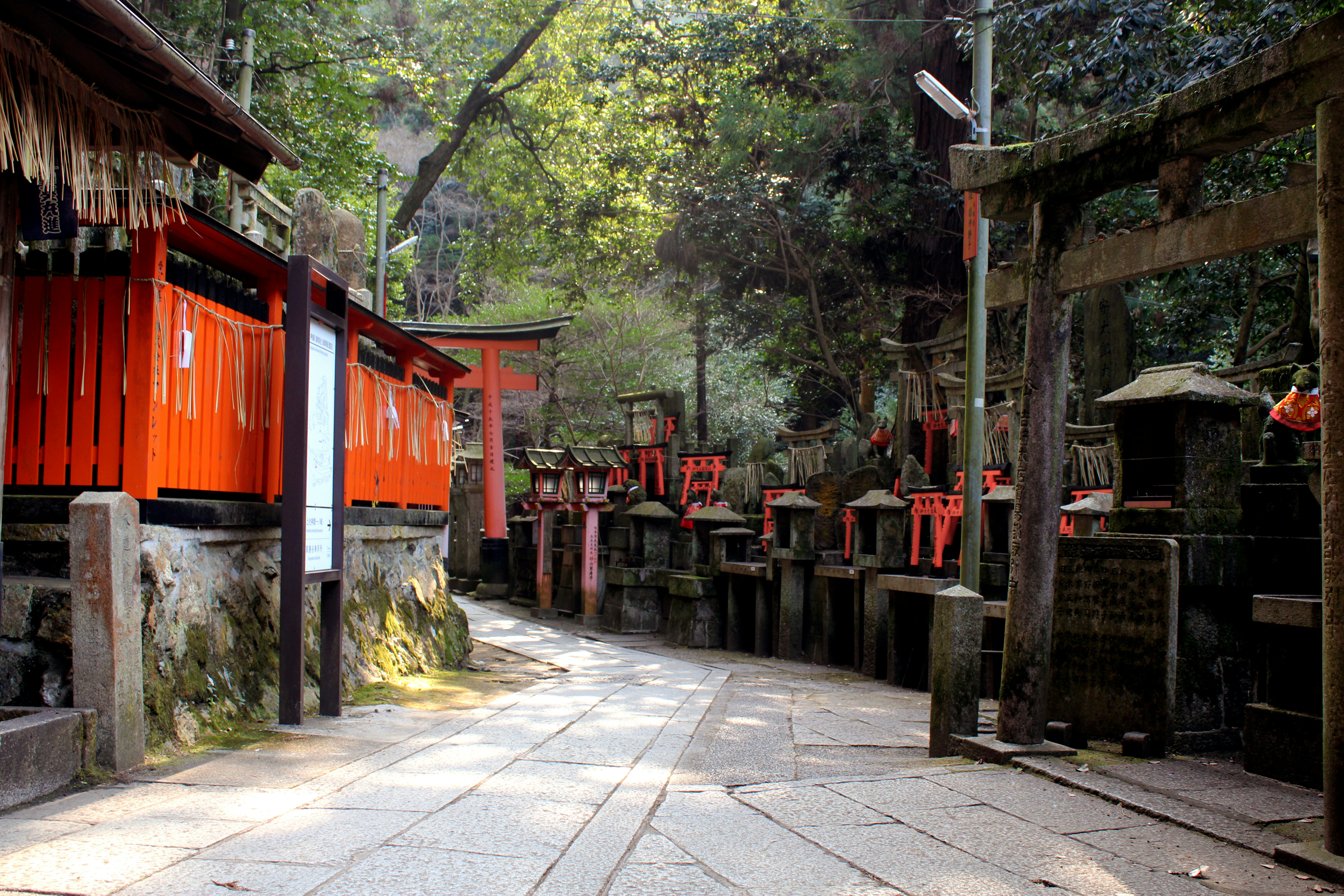 Thousands of red torii gates at Fushimi Inari Shrine